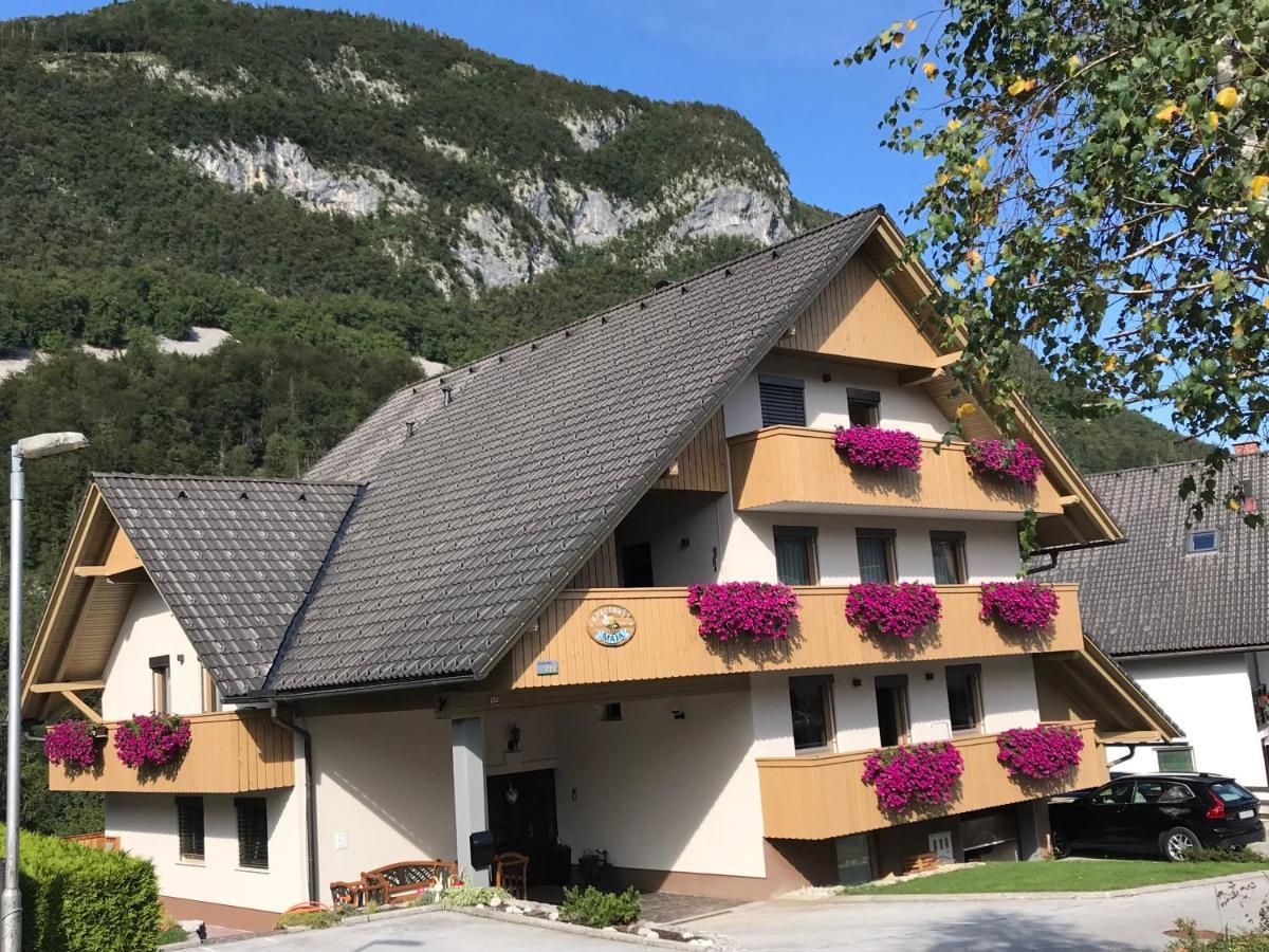 Apartments Maja By The River Bohinj Exterior photo